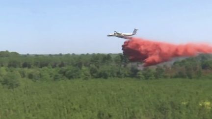 Incendies : dans l'Hérault, des moyens aériens renforcés pour lutter contre les méga feux