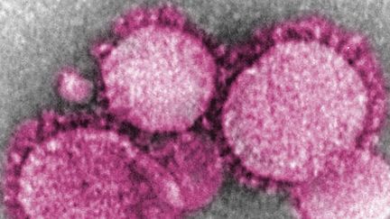 Un quatrième cas en France de coronavirus, l’épidémie dépasse l’ampleur du SRAS (Cr&eacute;dits photo : Creative Commons / Flickr)