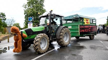 Des manifestants contre l'introduction des ours dans le Béarn ont défilé à Pau (Pyrénées-Atlantiques), le 30 avril 2018. (LAURENT FERRIERE / HANS LUCAS / AFP)