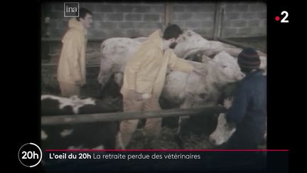 L'Oeil du 20h : 27/01/2021