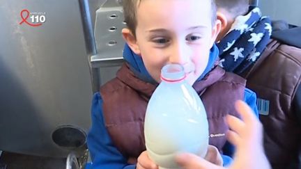 Maine-et-Loire : distribution gratuite de lait