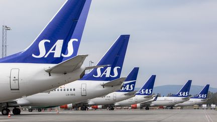 Des avions de la compagnie aérienne SAS à l'aéroport de Gardermoen (Norvège). (OLE BERG-RUSTEN / NTB SCANPIX via AFP)