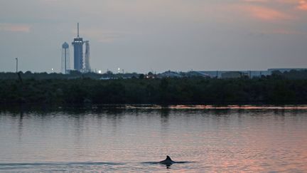 La fusée Falcon 9 surmontée de la capsule Crew Dragon de SpaceX, au Centre spatial Kennedy de la Nasa, en Floride (Etats-Unis), le 27 mai 2020. (GREGG NEWTON / AFP)