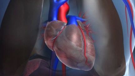 Bientôt un coeur humain fabriqué avec une imprimante 3D ?