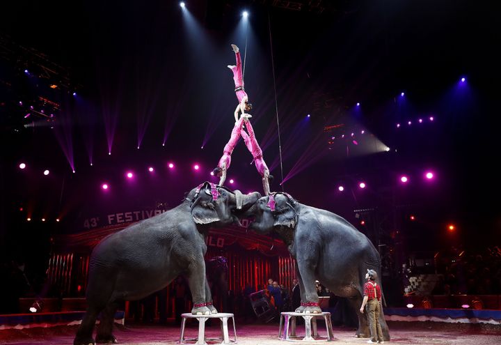 Joy Gartner Family et leurs éléphants, clowns de bronze 2019
 (Sebastien NOGIER / POOL / AFP)