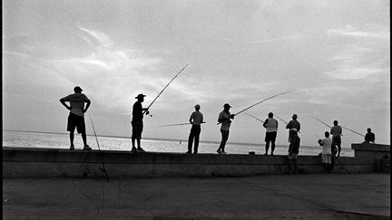 En 1964, le célèbre photographe américain voyageait à Cuba, pour l'agence Magnum, accompagnant Fidel Castro et Che Guevara dont il a fait des images iconiques pour le magazine Newsweek. Elliott Erwitt est retourné dans la grande île de la Caraïbe en 2015 (il avait alors 87 ans) pour constater l'évolution du pays et de ses habitants. Au Real Jardín Botánico CSIC de Madrid. Ici, Elliot Erwitt, Malecon, Cuba, 2015
 (Elliot Erwitt)