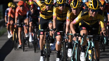 La formation Jumbo-Visma aux avant-postes du peloton (ANNE-CHRISTINE POUJOULAT / AFP)