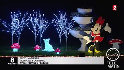 Noël : des Français fous de décoration