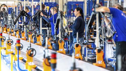 Distance dau moins 1,5m entre les salariés, plaques de plexiglass installées entre eux, dans une usine de vélos à Dieren (Pays-Bas). Photo d'illustration. (PIROSCHKA VAN DE WOUW / ANP)