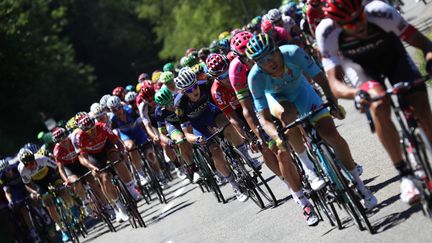 Le peloton du Tour de France.