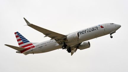 Un avion de la compagnie&nbsp;American Airlines, le 2 décembre 2020. (COOPER NEILL / AFP)