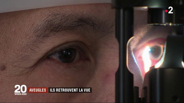 Médecine : Faire Recouvrer La Vue Aux Aveugles