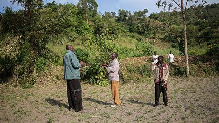 Et malgré une loi promulguée en 2011 pour la promotion et la protection des droits des peuples Pygmées en RDC, ils sont toujours opprimés. Ils accusent les autorités locales et les chefs bantous de les avoir expulsés des forêts à partir de 1980 et d’avoir attribué leurs terres aux Havu. Mais ne pouvant justifier d’aucun titre de propriété, ils se retrouvent spoliés.  (Therese Di Campo/Reuters)