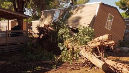 La Corse est bien loin d'avoir cicatrisé, samedi 20 août.&nbsp;Un camping de Calvi a subi de lourds dégâts, et est contraint de fermer au moins pendant dix jours. (FRANCE 2)