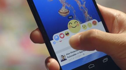 Capture d'&eacute;cran des nouveaux &eacute;mojis de Facebook, le 8 octobre 2015. (FACEBOOK)