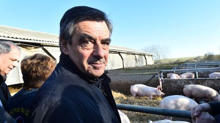 Polémique sur la justice : François Fillon a-t-il fait les bons choix ?