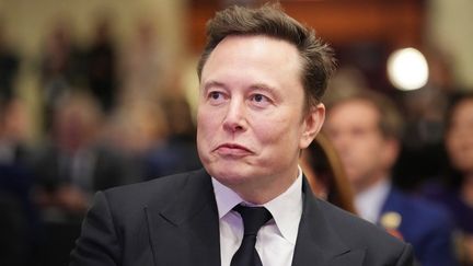 Elon Musk assiste à un discours de Donald Trump lors d'une réunion à Washington (Etats-Unis), le 13 novembre 2024. (ANDREW HARNIK / GETTY IMAGES NORTH AMERICA / AFP)