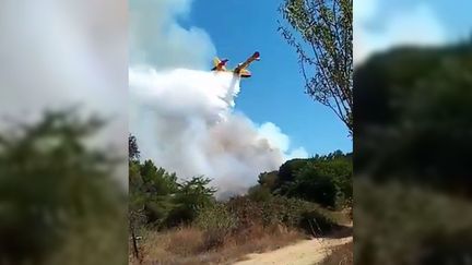 Un Canadair tente d'éteindre l'incendie.&nbsp; (POMPIERS DU GARD)