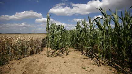 Sécheresse : la Californie s'affaisse