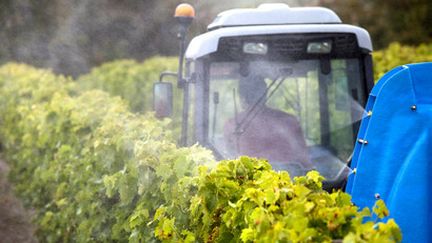 Un viticulteur traite ses vignes à Jurignac (Charente), le 15 juillet 2020 (illustration).
 (AFP)