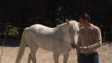 Bien-être : des séances pour maîtriser son stress avec l’aide d’un cheval