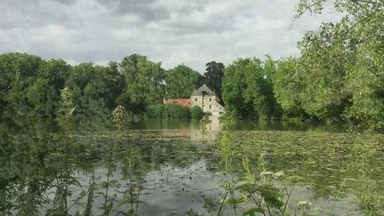 La forêt domaniale d'Ermenonville, dans l'Oise, a attiré de nombreux écrivains qui venaient de Paris pour s'y ressourcer. Le 13 Heures de France 2 vous fait découvrir ses trésors historiques.