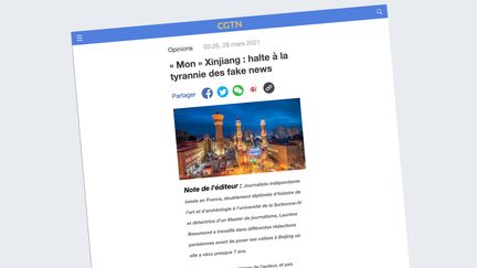 Article signé Laurène Beaumond sur le site en français de la chaîne chinoise CGTN. (CAPTURE D'ECRAN)