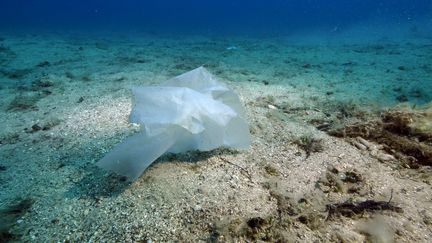 Illustration de la pollution au plastique&nbsp;en mer Méditerranée.&nbsp; (FLORIAN LAUNETTE / MAXPPP)