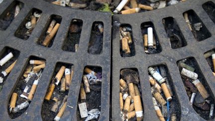 Chaque ann&eacute;e 315 tonnes de m&eacute;gots sont ramass&eacute;es dans les rues de Paris. (JOEL SAGET / AFP)