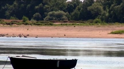 Réchauffement climatique : le seuil des +1,5°C pourrait être dépassé d’ici sept ans (franceinfo)