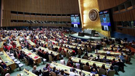 L'Assemblée générale des Nations-Unies, le 6 mars 2020. (TAYFUN COSKUN / ANADOLU AGENCY / AFP)