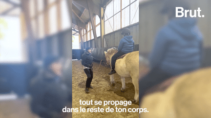 Pour soigner leurs maux et se sentir mieux, certaines personnes se tournent vers l’équithérapie. Des cours particuliers avec les équidés, permettant de décharger les émotions. Brut a suivi un cours. (BRUT / FRANCEINFO)