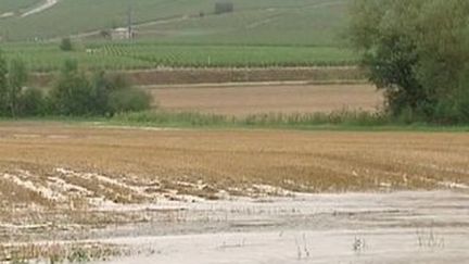 Orages dans le sud-ouest : des routes inondées et des vignes ravagées