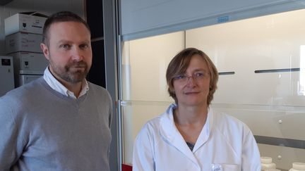 Natacha Brion et Gilles Bruylants, deux des chercheurs associés à ce projet dans le laboratoire de la VUB à Bruxelles. (ANGELIQUE BOUIN / RADIO FRANCE)