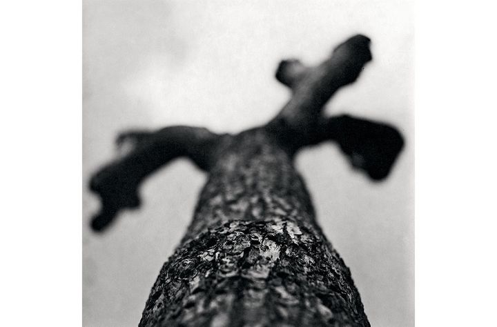 Zbigniew Dłubak "Asymetria" [Asymétrie], 1987
 (Armelle Dłubak / Fundacja Archeologia Fotografii, Varsovie)