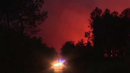 Incendies : qui sont les pyromanes, responsables des feux criminels ? (FRANCE 3)