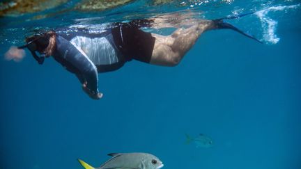 Une femme fait de la plongée sous-marine. (PEDRO PARDO / AFP)