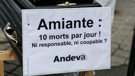 Manifestation de&nbsp;l'Association nationale de d&eacute;fense des victimes de l'amiante, &agrave; Paris, le 6 novembre 2013. (MICHEL STOUPAK / CITIZENSIDE.COM / AFP)