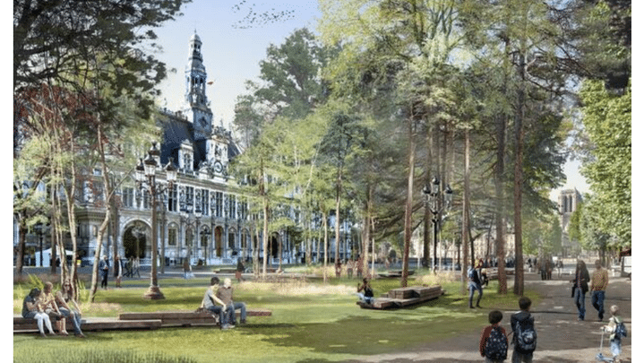 The urban forest project on the square in front of Paris city hall.  (CELINE ORSINHER LP / QUENTIN DE GROEVE)