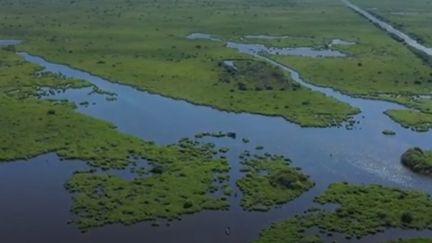 Parc de Brière : une Venise sauvage en bord de Loire