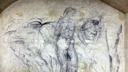 Des dessins retrouvés dans la "chambre secrète" de Michel-Ange, dans la basilique San Lorenzo de Florence. (CLAUDIO GIOVANNINI / AFP)