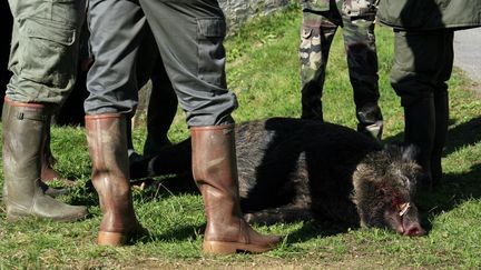 Des chasseurs autour d'un cadavre de sanglier. (CATHERINE GRAIN / COMMUNICATION)