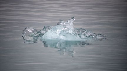 Un bloc de glace dérive après s'être détaché du glacier Nordenskiöld, près de l'archipel de Svalbard, en Norvège, le 21 septembre 2021. (OLIVIER MORIN / AFP)