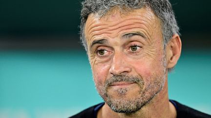 Le nouvel entraîneur du PSG Luis Enrique sera présenté à la presse mercredi. (JAVIER SORIANO / AFP)