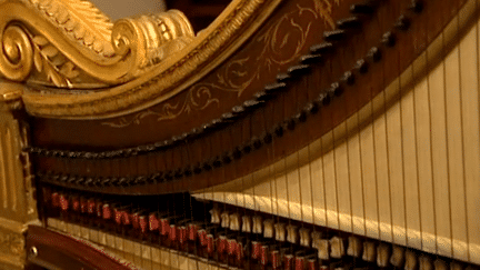 Une harpe exposée au Palais Lascaris
 (France3/Culturebox)