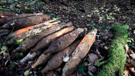 Des obus en forêt de Verdun (photo d'illustration).&nbsp; (BEATRICE DUGUÉ / FRANCE-INTER)