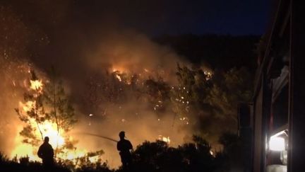 Situé à une centaine de kilomètres d'Athènes (Grèce), l'incendie a réduit en cendre une forêt de pins unique. La Grèce appelle l'Europe à l'aide. (france 3)