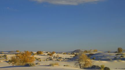 Le parc national de White Sands, au Nouveau-Mexique (Etats-Unis).&nbsp; (TIM FITZHARRIS / AFP)