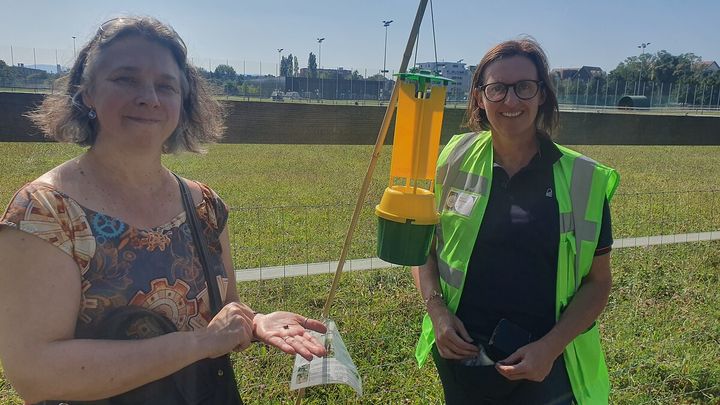 Isabelle Maurice (à gauche), de la DRAAF Grand Est et Stéphanie Frey spécialiste des espèces nuisibles au réseau FREDON. (BORIS HALLIER / RADIO FRANCE)