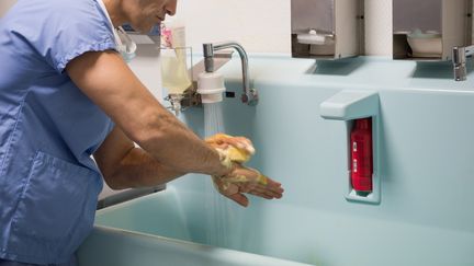 Un chirurgien se désinfecte les mains avant d'entrer en salle d'opération. (photo d'illustration) (ERIC AUDRAS / AFP)